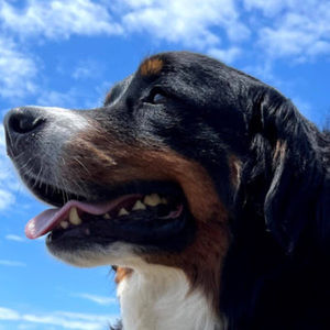 Meet your Posher, Neil